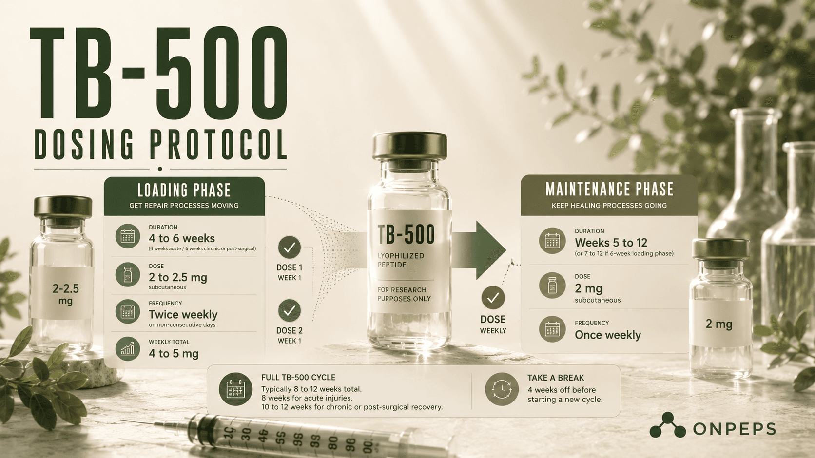 TB-500 dosing protocol infographic showing loading and maintenance phases with dosage, duration, and weekly schedule by ONPEPS, the leading peptide research platform